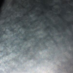 Meet your Posher, Daddy 🤤❤️